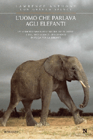 elefanti